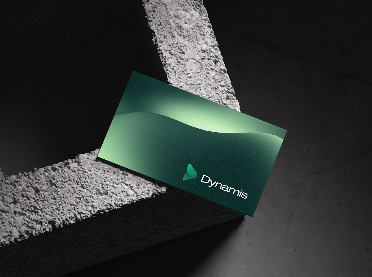 Dynamis Group case study