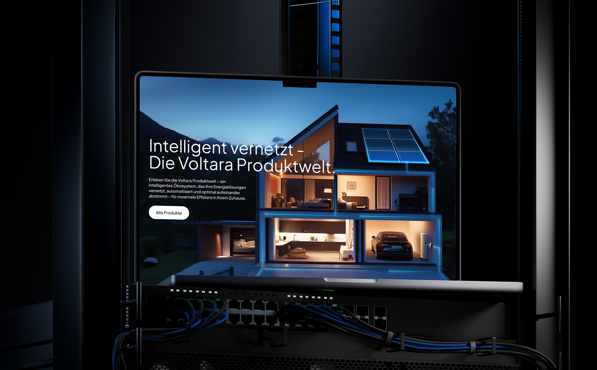 Voltara case study